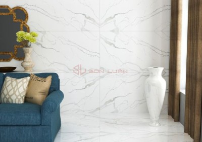Gạch Ốp Lát APODIO 61121010